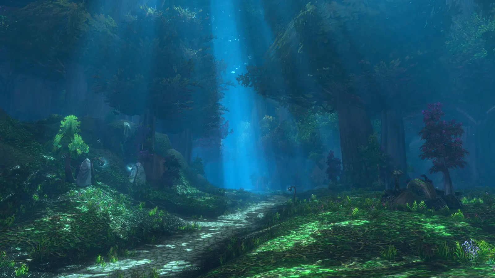Moonlight breaking through the tall trees of Ashenvale with the updated lighting in World of Warcraft: Forever