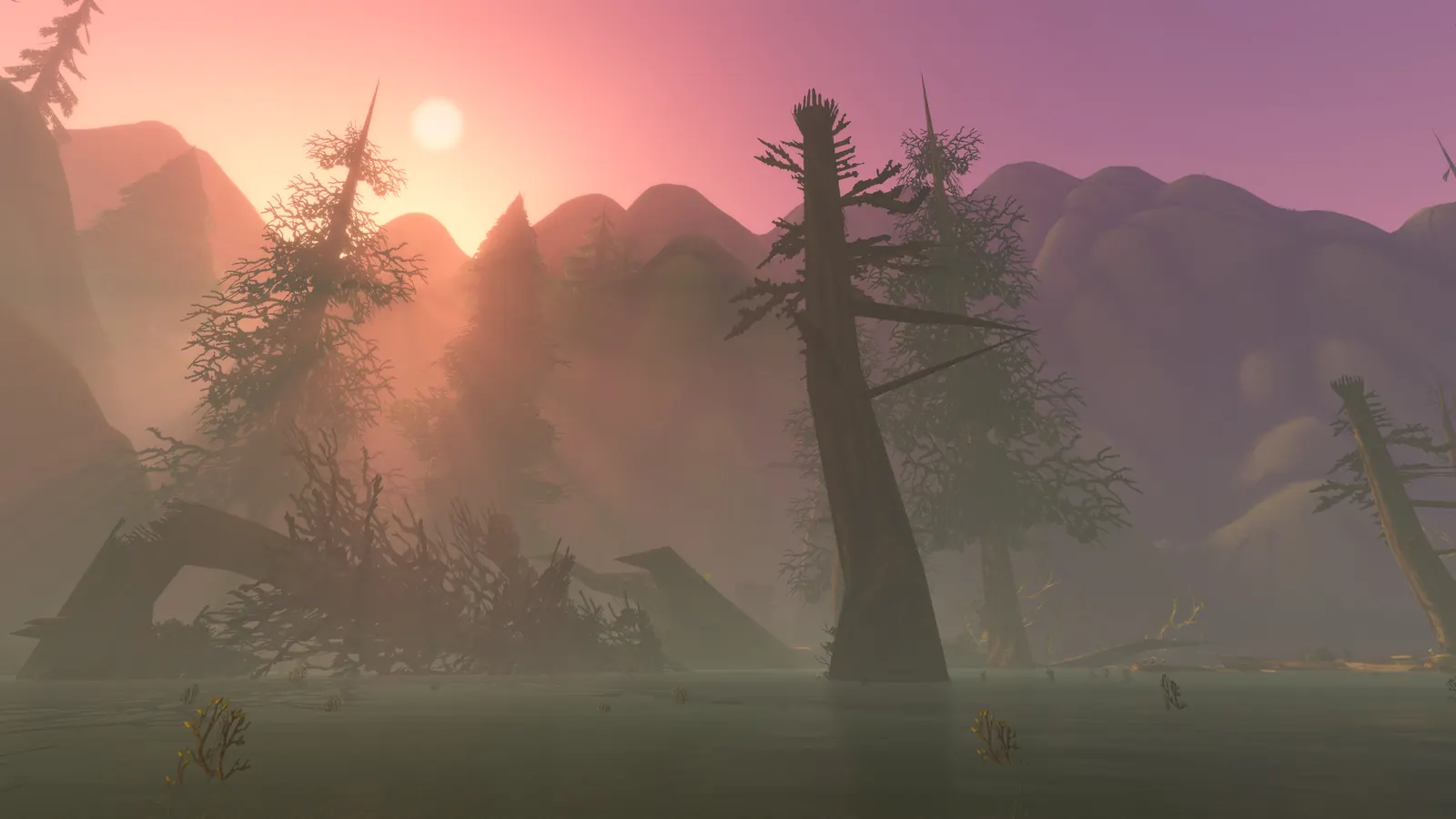 Fog and dead trees on the approach to Hyjal Summit